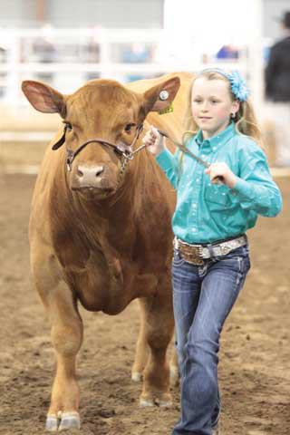 San Antonio Stock Show & Rodeo - FEBRUARY